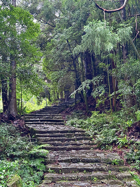 【熊野古道的温泉乡】打卡154：龟乃井那智胜浦温泉酒店海景榻榻米房