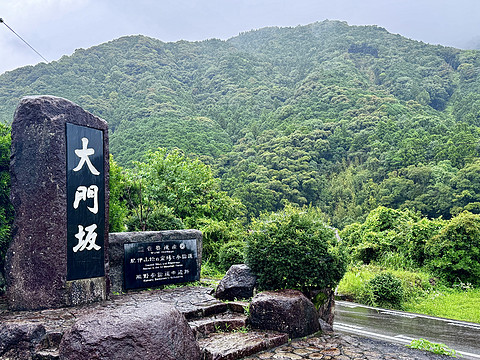 【熊野古道的温泉乡】打卡154：龟乃井那智胜浦温泉酒店海景榻榻米房