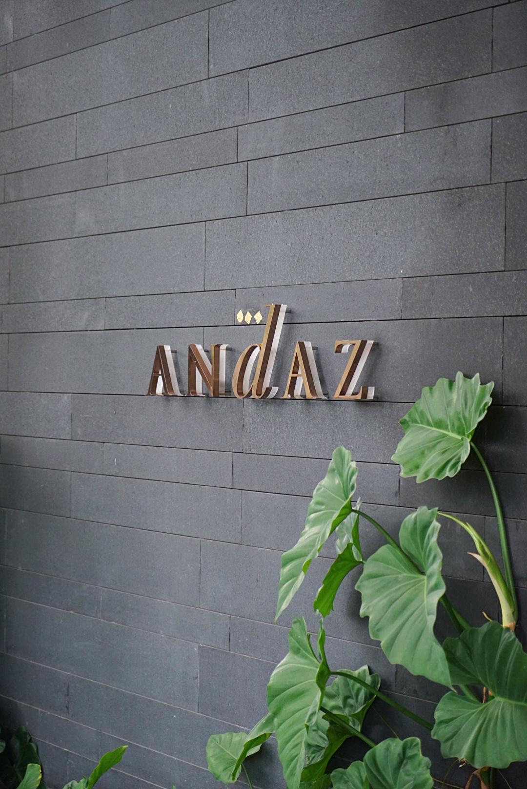 Andaz Pattaya Jemtien BeachŰ˾Ƶطŵ 🌳
