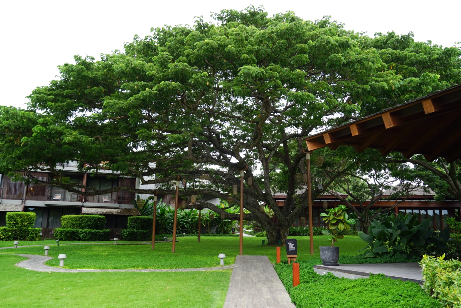 Andaz Pattaya Jemtien BeachŰ˾Ƶطŵ 🌳