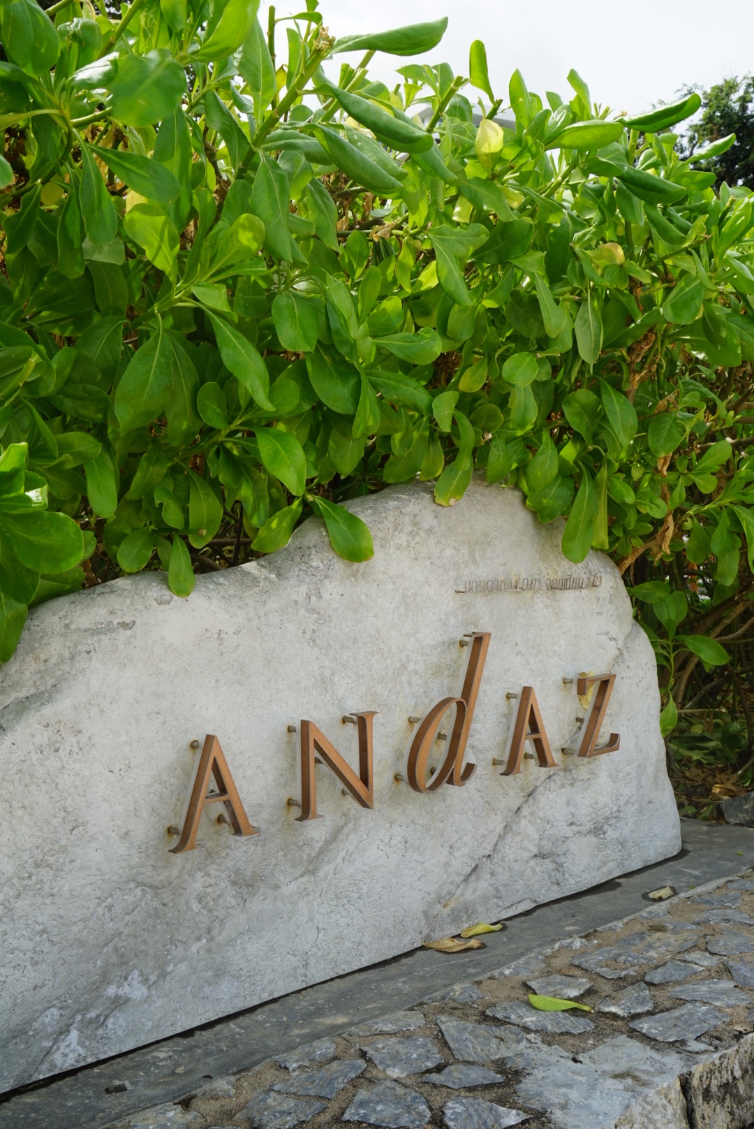 Andaz Pattaya Jemtien BeachŰ˾Ƶطŵ 🌳