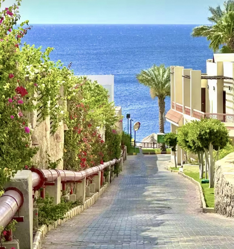 210012EFMMFAZXRZEYJTOM.png 210012EFMMFAZXRZEYJTOM.png