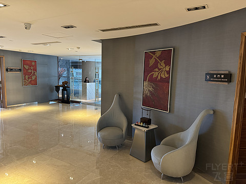 广州白云机场铂尔曼大酒店，行政双床房体验