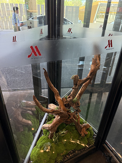打卡老君山/落脚洛阳万豪/为旅行加分