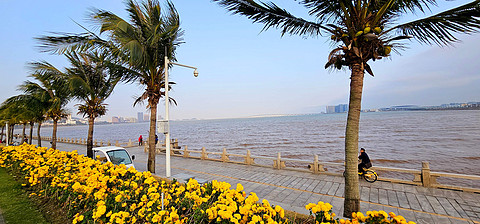 双城Citywalk，遇见海天一色—珠海仁恒洲际酒店🏨