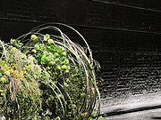 ϵȼ٣<em>Ͼ</em>ţɽϣ Hilton Nanjing Niushoushan