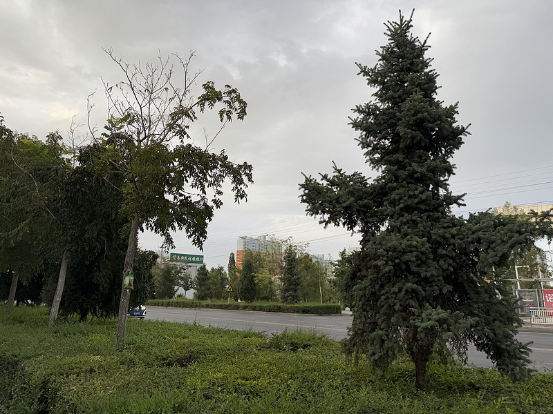 021718UBYABWZLUYZLCHNB.png