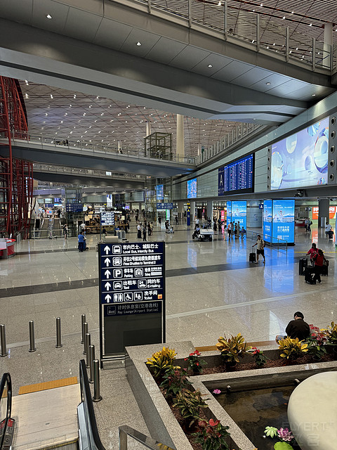 五星航司，飞个痛快—记新加坡航空4段飞行