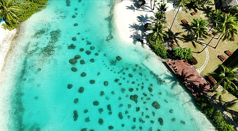 2025大溪地之旅第二站 -- 波拉波拉泰拉索洲际IC Bora Bora Resort Thalasso