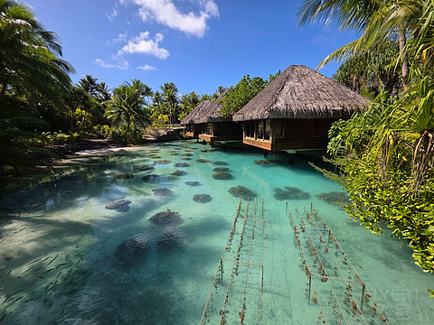 2025大溪地之旅第二站 -- 波拉波拉泰拉索洲际IC Bora Bora Resort Thalasso