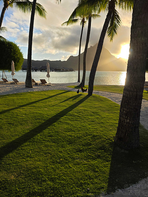 2025大溪地之旅第二站 -- 波拉波拉泰拉索洲际IC Bora Bora Resort Thalasso