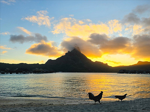 2025大溪地之旅第二站 -- 波拉波拉泰拉索洲际IC Bora Bora Resort Thalasso