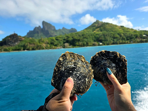 2025大溪地之旅第二站 -- 波拉波拉泰拉索洲际IC Bora Bora Resort Thalasso