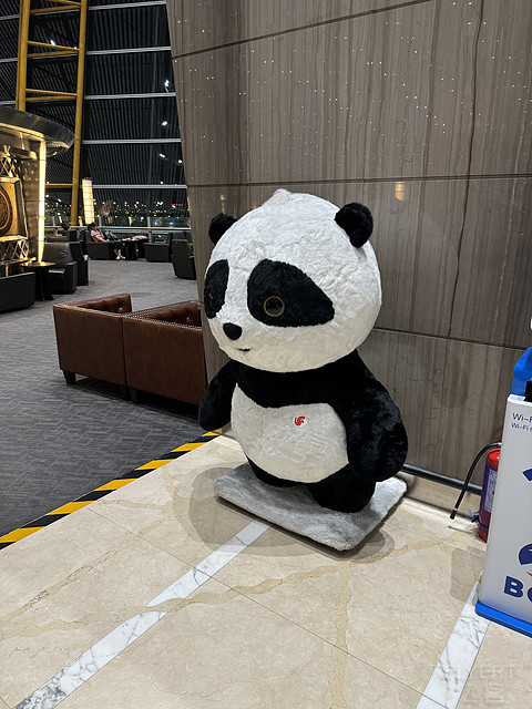五星航司，飞个痛快—记新加坡航空4段飞行