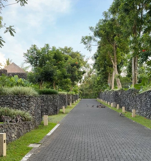 176情迷阿丽拉II阿丽拉乌布/Alila ubud