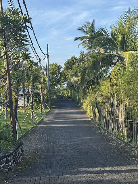 176情迷阿丽拉II阿丽拉乌布/Alila ubud