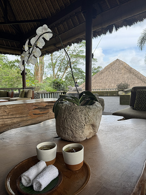 176情迷阿丽拉II阿丽拉乌布/Alila ubud