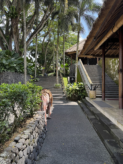 176情迷阿丽拉II阿丽拉乌布/Alila ubud