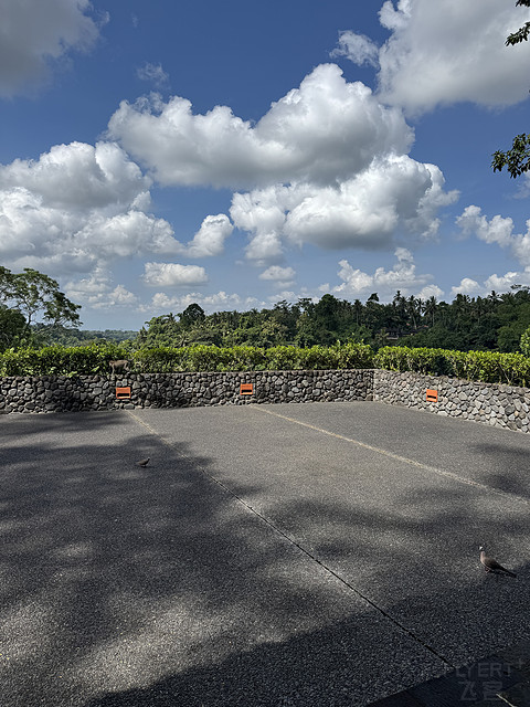 176情迷阿丽拉II阿丽拉乌布/Alila ubud