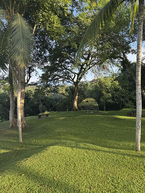 176情迷阿丽拉II阿丽拉乌布/Alila ubud
