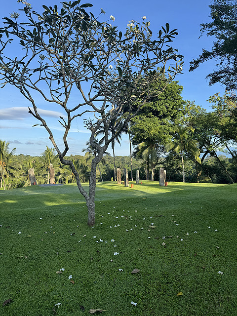 176情迷阿丽拉II阿丽拉乌布/Alila ubud