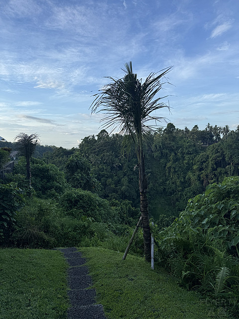 176情迷阿丽拉II阿丽拉乌布/Alila ubud