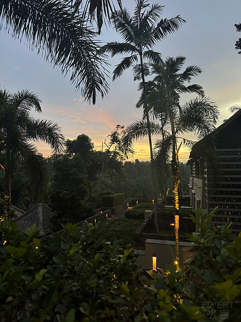 176情迷阿丽拉II阿丽拉乌布/Alila ubud