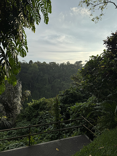 176情迷阿丽拉II阿丽拉乌布/Alila ubud