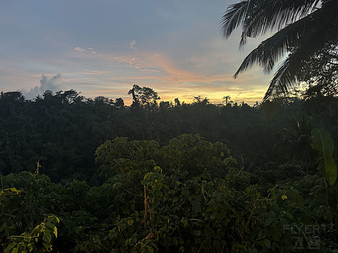 176情迷阿丽拉II阿丽拉乌布/Alila ubud