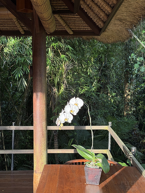 176情迷阿丽拉II阿丽拉乌布/Alila ubud