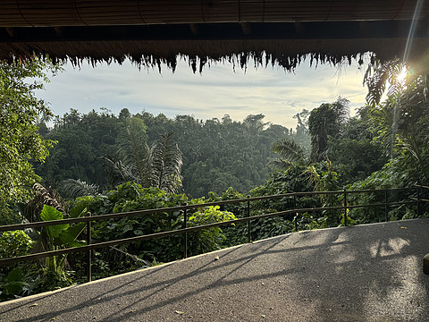 176情迷阿丽拉II阿丽拉乌布/Alila ubud