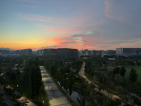 【浸在春意中的高端客栈】首尔植物园万怡酒店·Park套房·5h入住快报｜CY SeoulBotanicPark