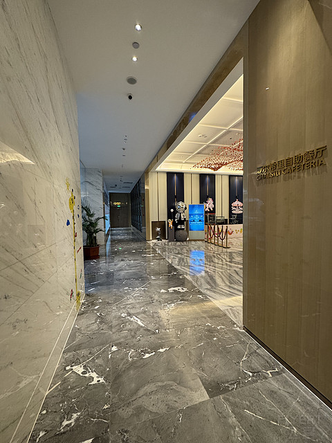 博乐·夏尔希里大酒店Chalsili Hotel Bole 博尔塔拉滨江·Binjiang