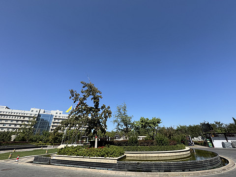 博乐·夏尔希里大酒店Chalsili Hotel Bole 博尔塔拉滨江·Binjiang