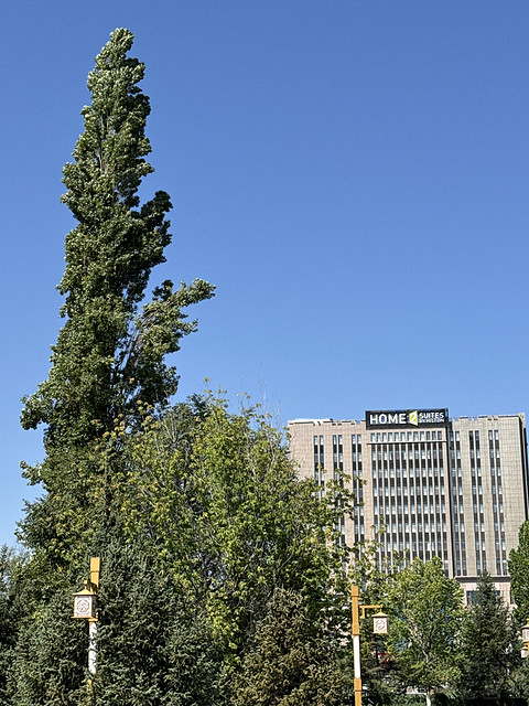 博乐·希尔顿惠庭酒店
Home2️⃣Suites by Hilton