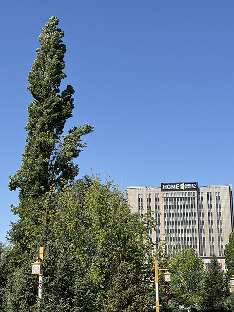 博乐·希尔顿惠庭酒店
Home2️⃣Suites by Hilton