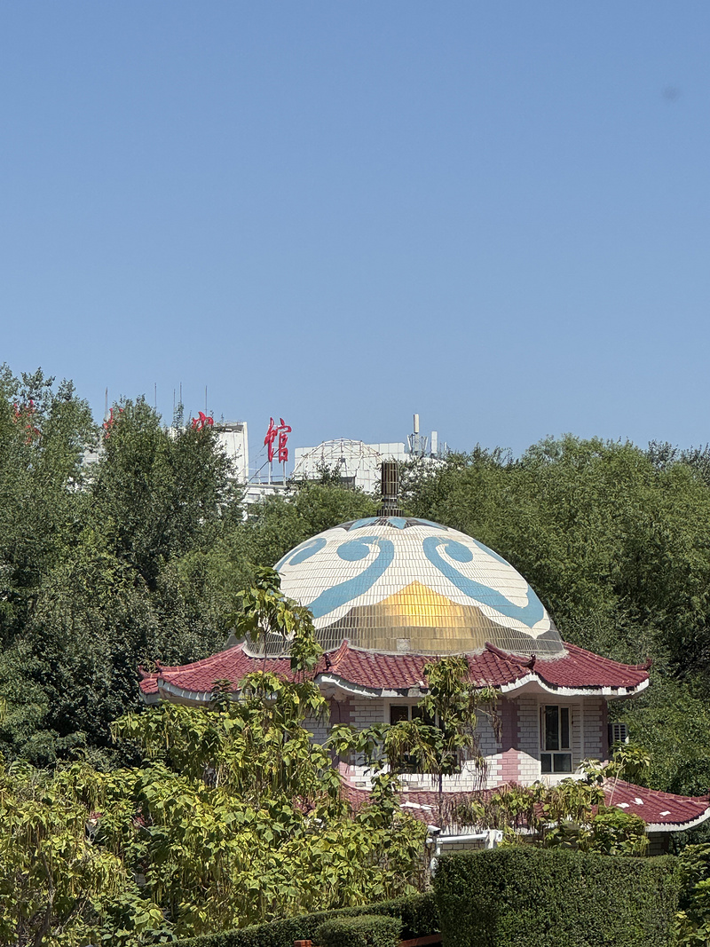 210723YKPSRYGDYIYLRYYW.png