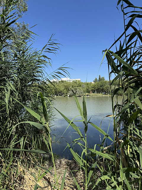博乐·博尔塔拉宾馆 Boertala Guest House