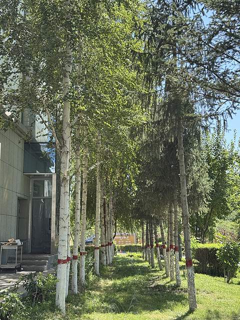 博乐·博尔塔拉宾馆 Boertala Guest House