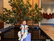 <em></em>Ƕ4.0