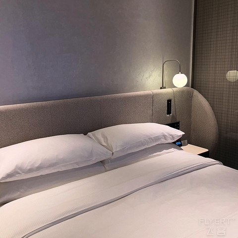 深圳湾希尔顿逸林：高级工地全季