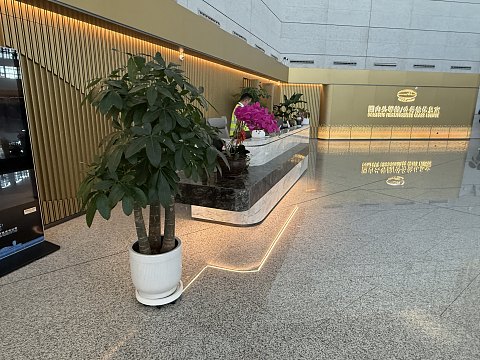 昙花一现的亚洲第一-打卡乌鲁木齐天山国际机场及机场自营贵宾休息室