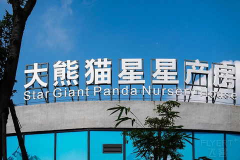 成都！一座到处是大熊猫的城市！