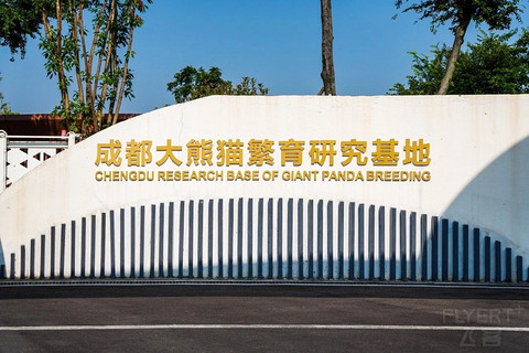 成都！一座到处是大熊猫的城市！