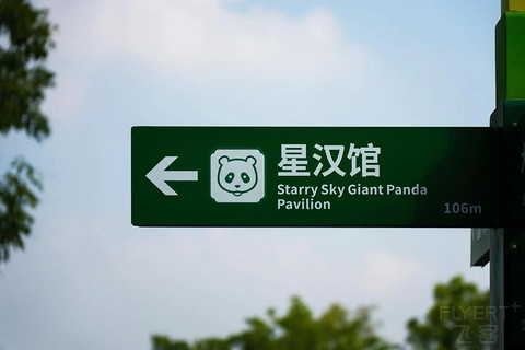 成都！一座到处是大熊猫的城市！