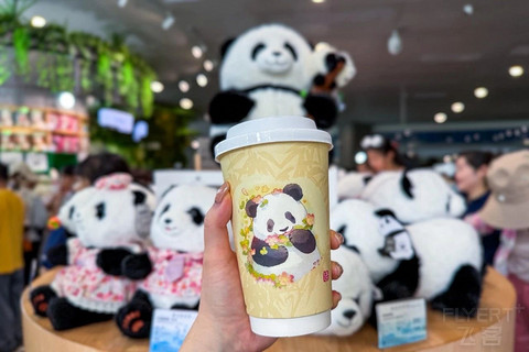 成都！一座到处是大熊猫的城市！