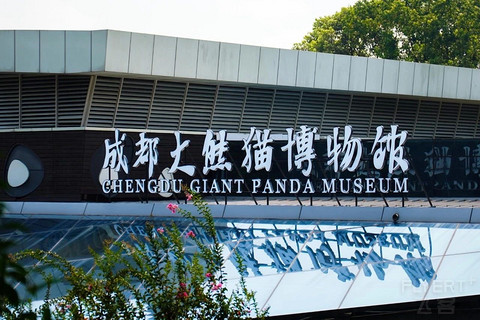成都！一座到处是大熊猫的城市！