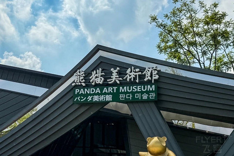 成都！一座到处是大熊猫的城市！