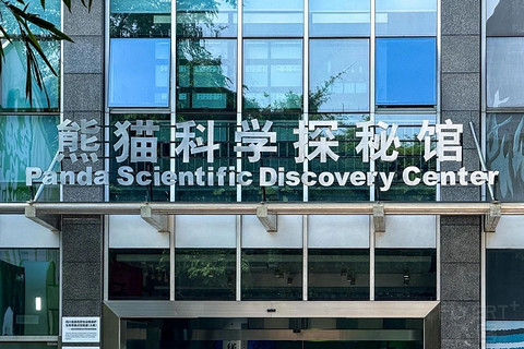成都！一座到处是大熊猫的城市！