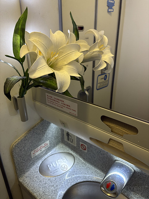 川航A330天府-拉萨平稳飞行